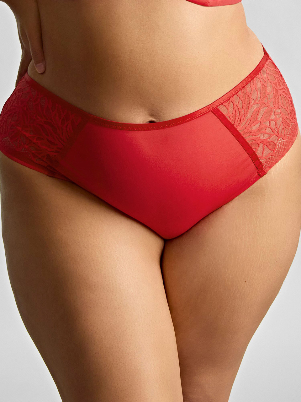 Panache - Sophia Matching Briefs
