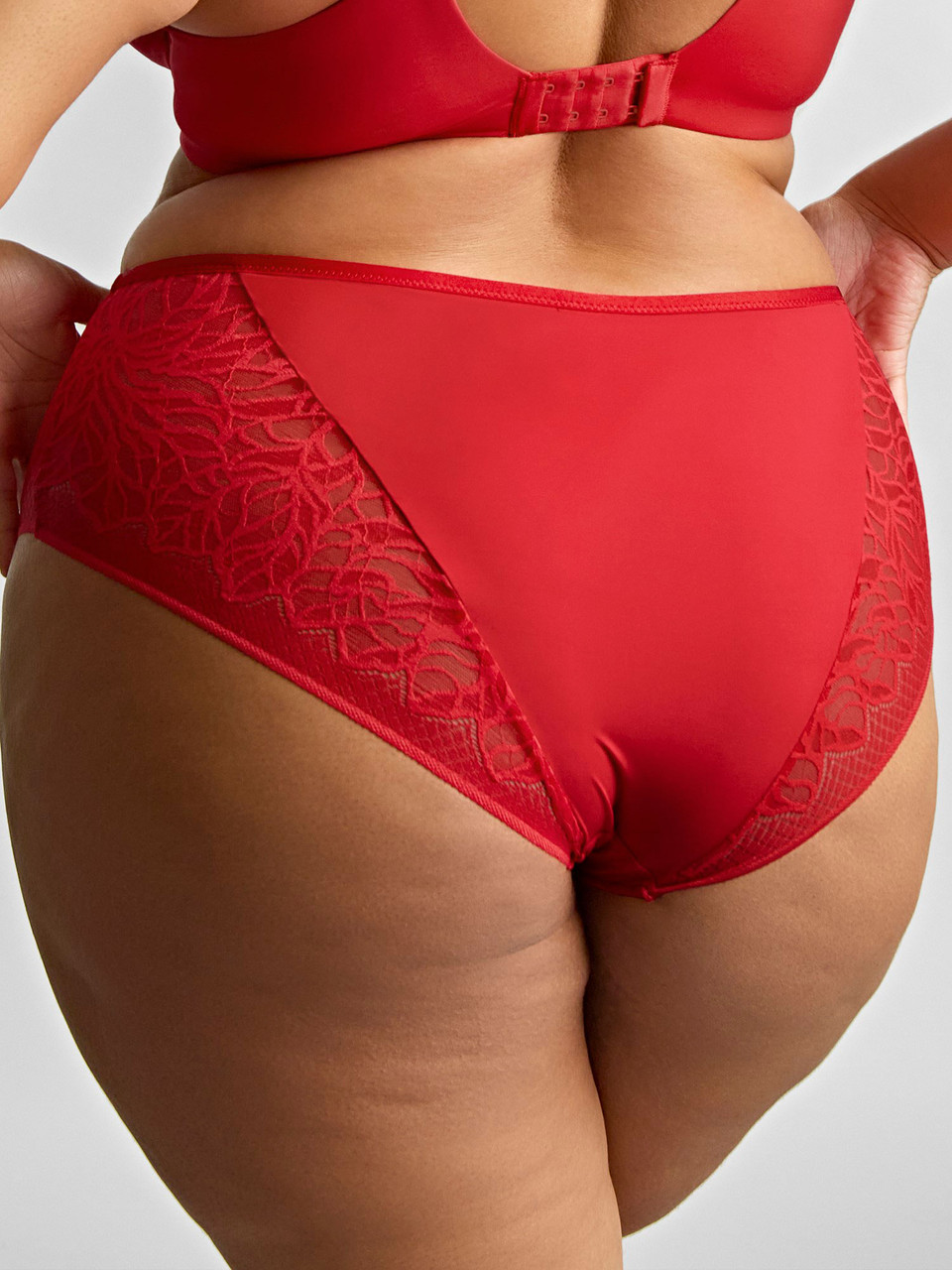 Panache - Sophia Matching Briefs - Image 5