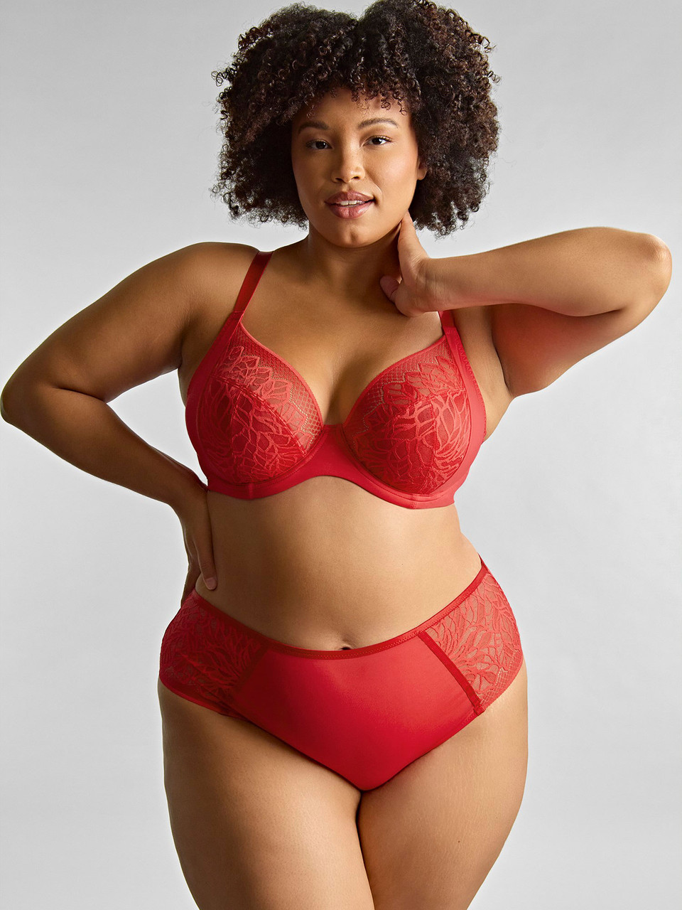 Panache - Sophia Matching Briefs - Image 4