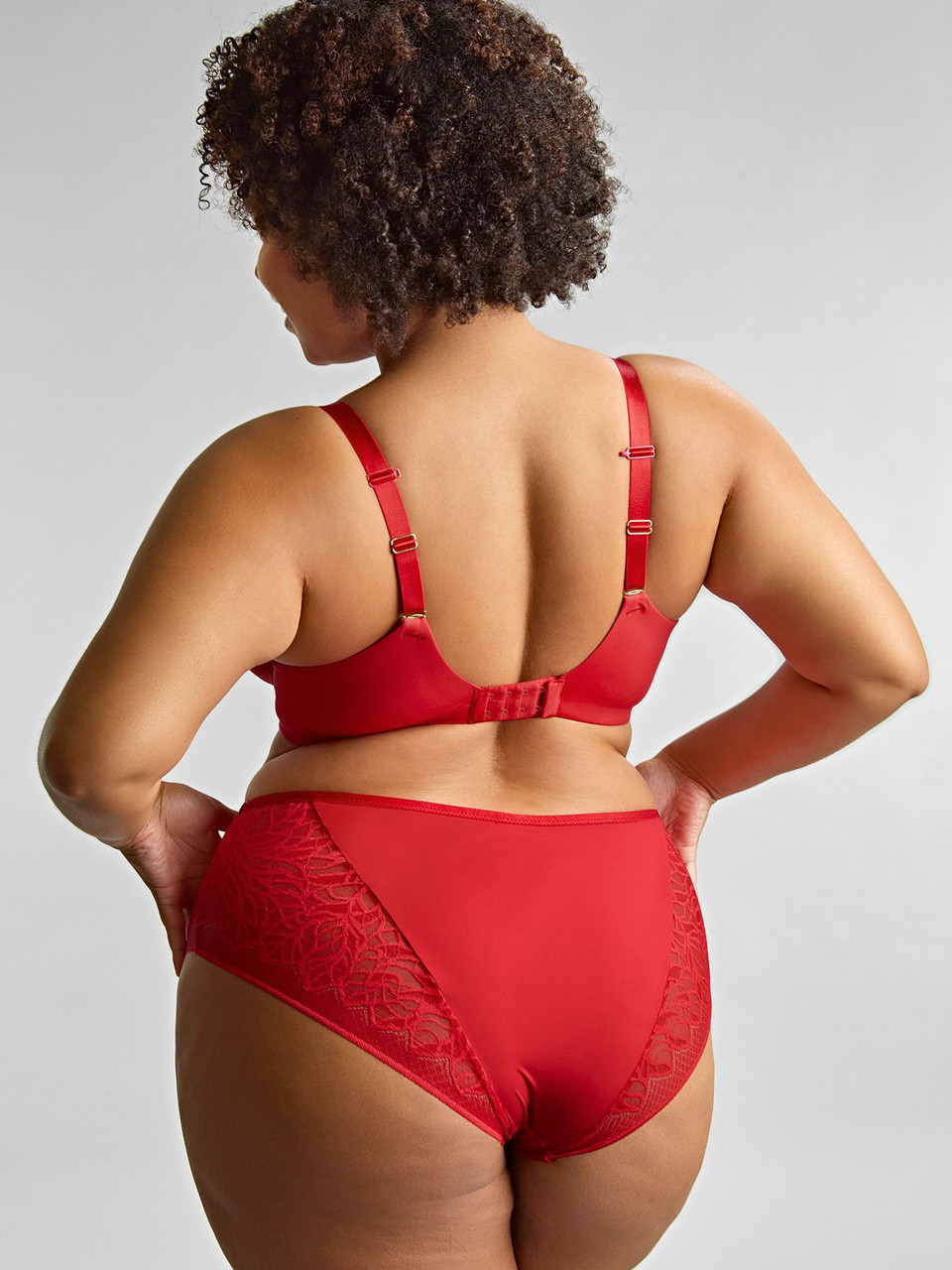 Panache - Sophia Matching Briefs - Image 3